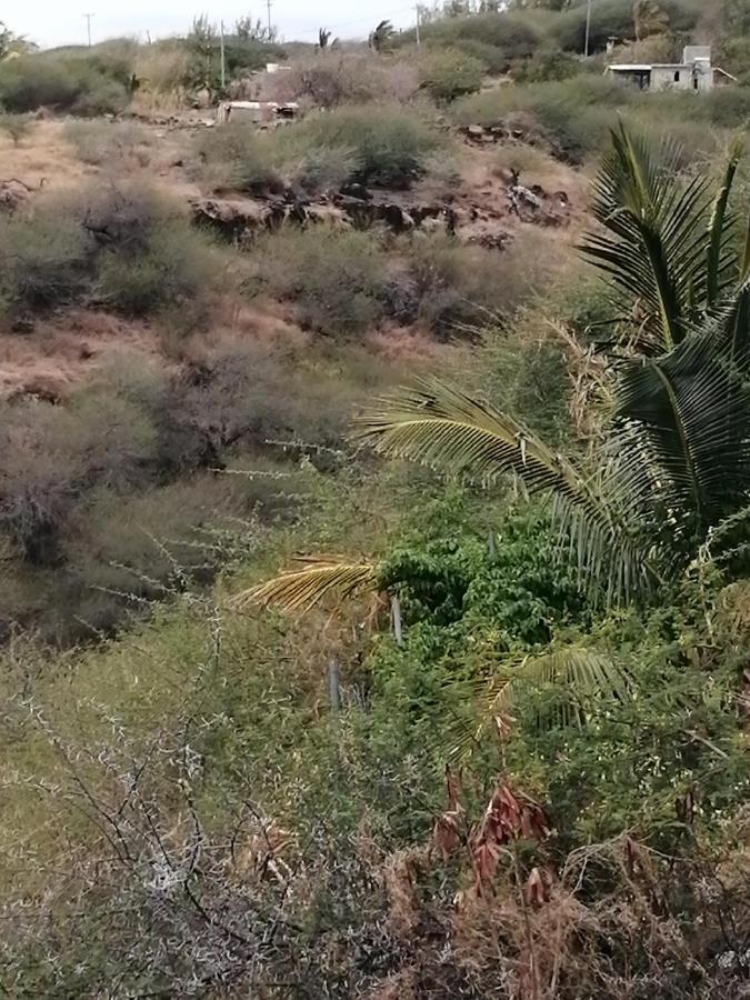 Bambou Eagles Nest Residence מראה חיצוני תמונה